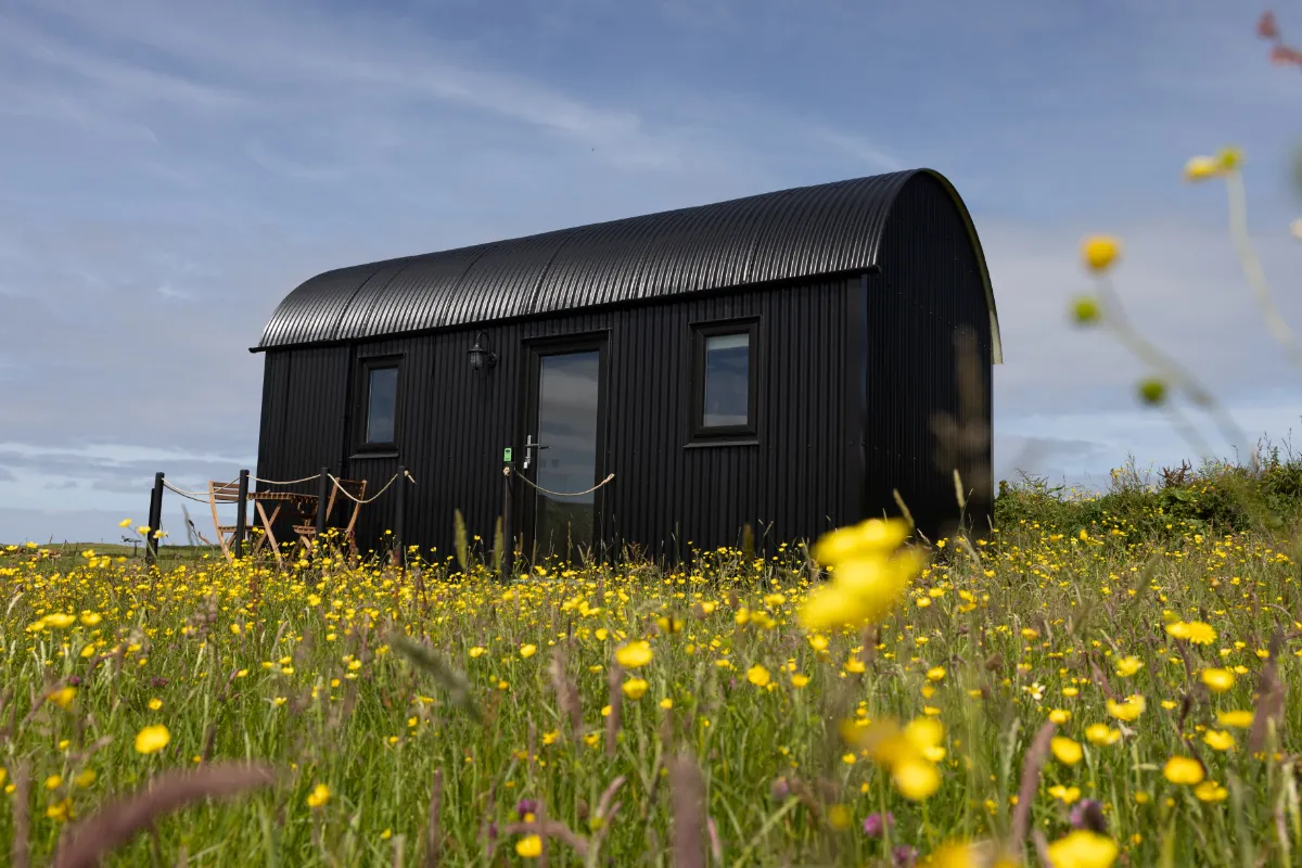Hut in flower meadow